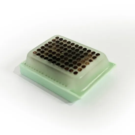 Forniture mediche monouso blocco microarray tissutale utilizzato per l'esame dei materiali di ricerca scientifica