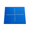 Tavola di dissezione (plastica blu)