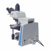 Microscopio
