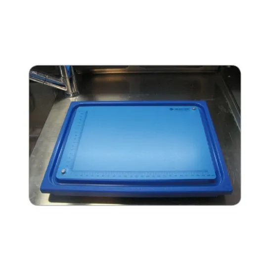 Tavola di dissezione (plastica blu)