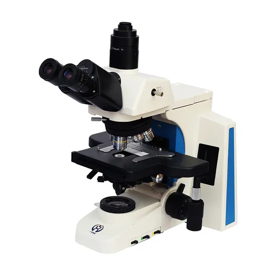Microscopio