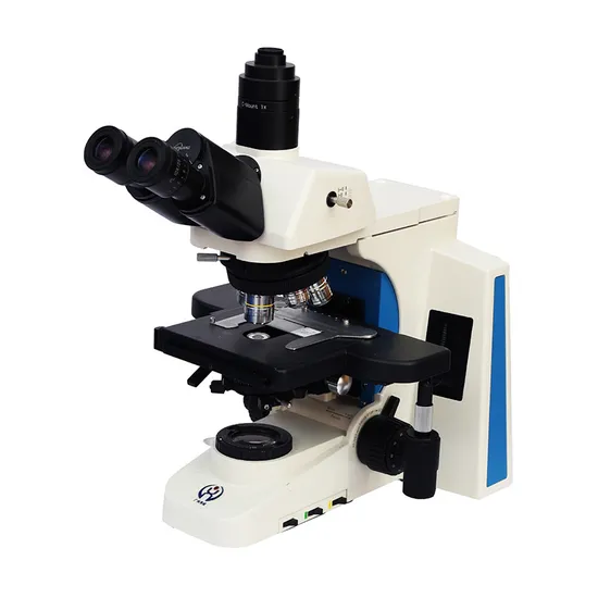 Microscopio