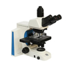 Microscopio