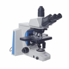 Microscopio
